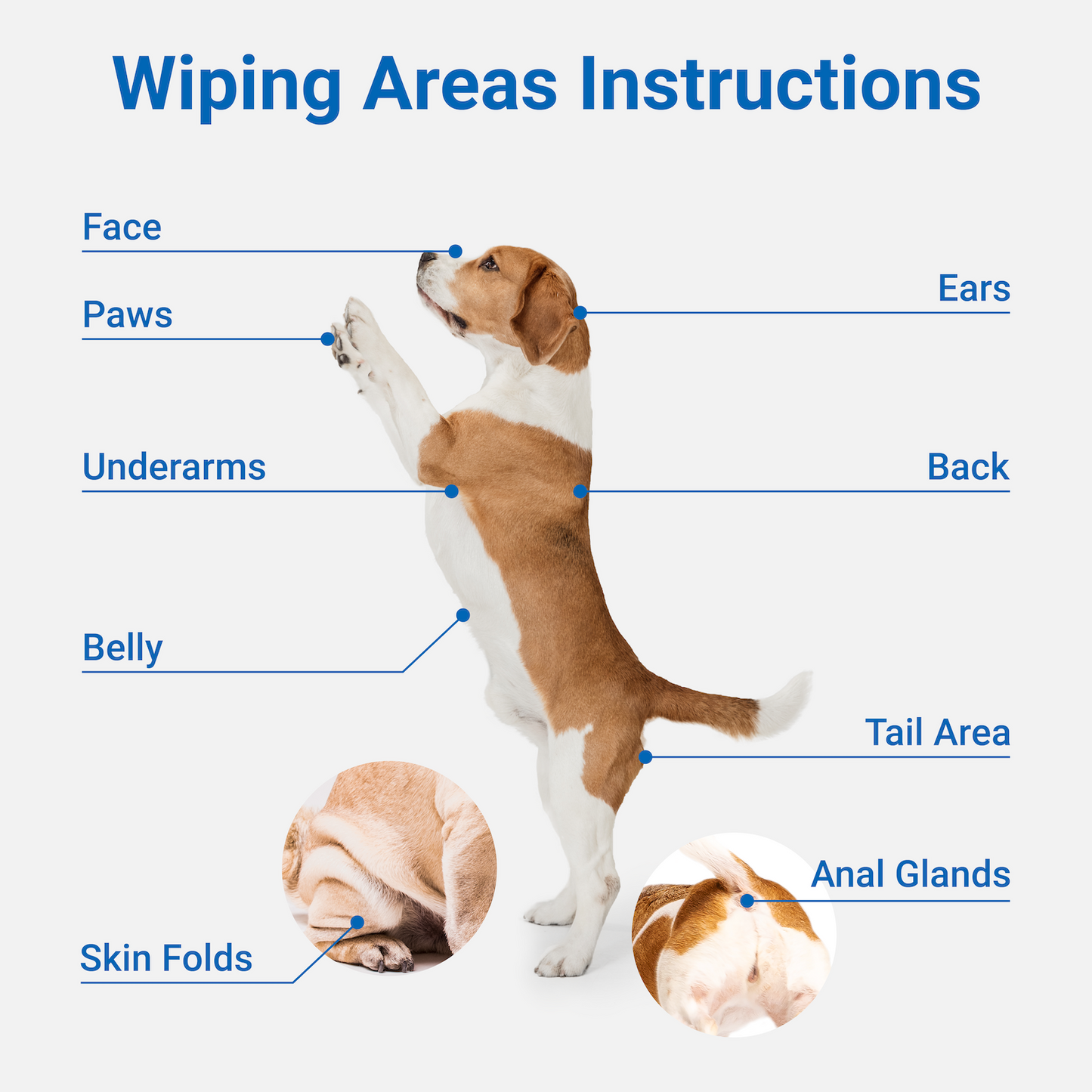 Pet Grooming Glove Wipes