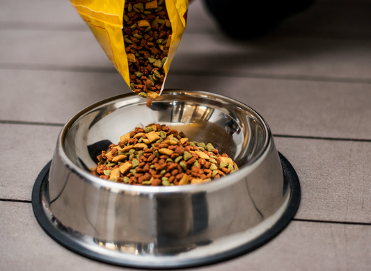 How to Establish Healthy Eating Habits for Your Pet