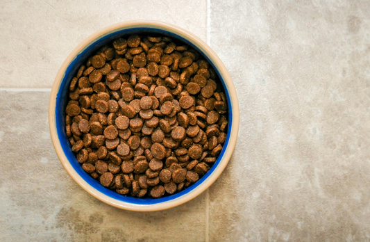 How to Choose the Right Diet for Your Pet and Keep Them Healthy