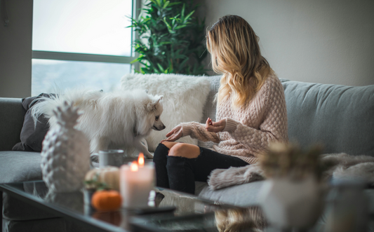 How to Help Your Pet Adjust to a New Home