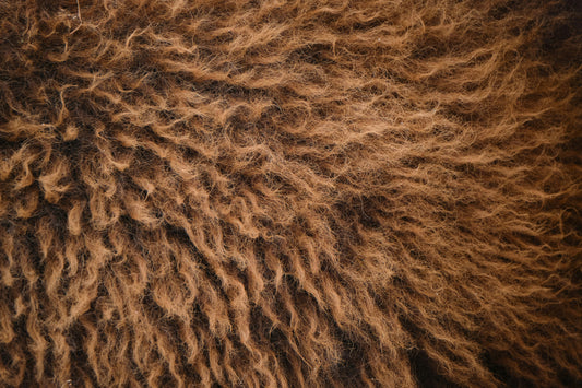 How to Manage Pet Shedding: Tips for Reducing Excessive Hair Loss